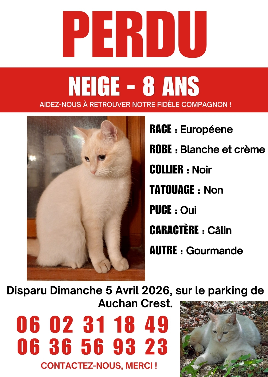 Neige